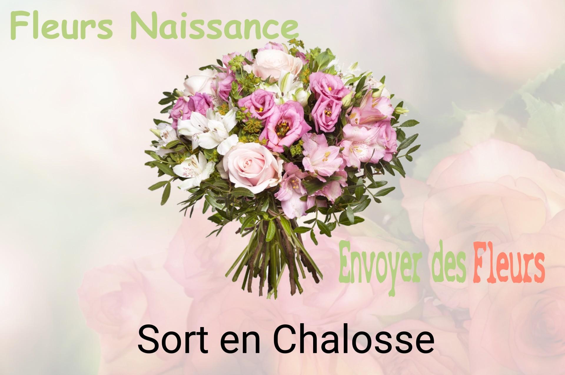 Bouquet de fleurs de naissance livré à Sort-en-Chalosse